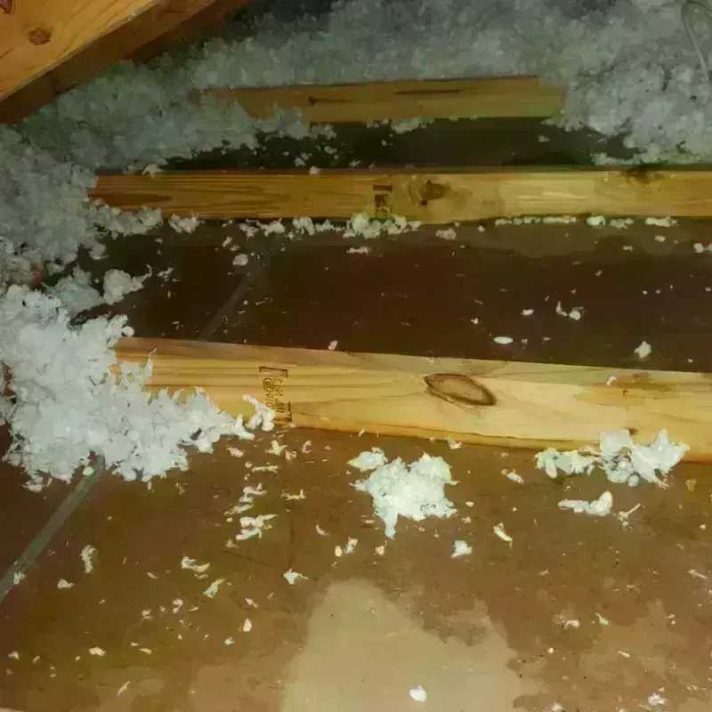 Attic Water Damage in Colchester, IL