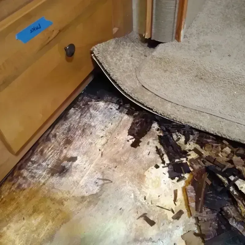 Best Wood Floor Water Damage Service in Colchester, IL